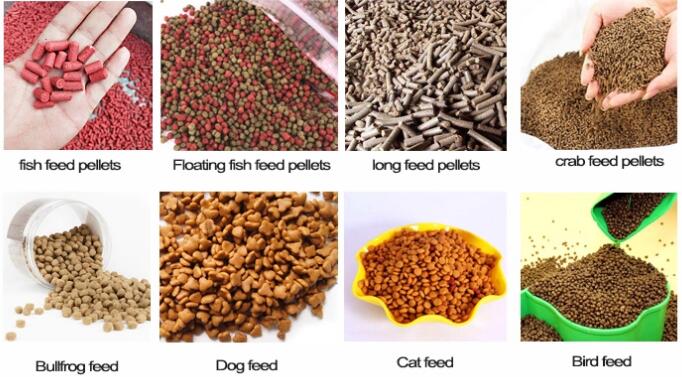 dog food machine
