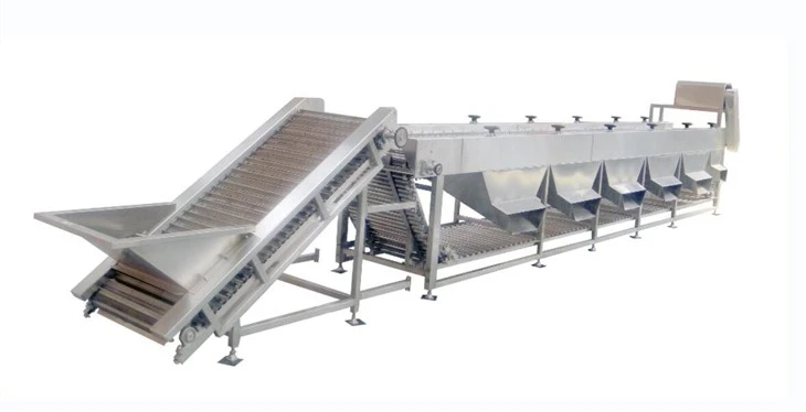 Apricot Sorting Machines