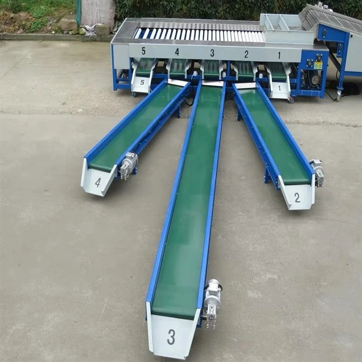 Apricot Sorting Machines