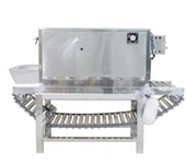 Garlic peeling machine Garlic peeling machine